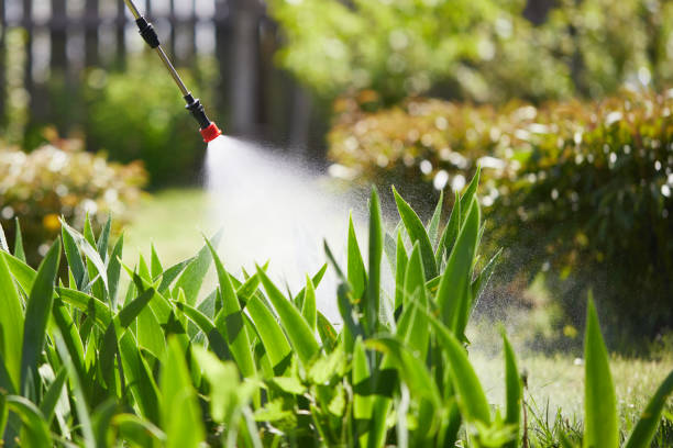 24/7 Emergency Mosquito Control experts in Ossian, IN