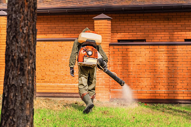 Top rated local Mosquito Control specialists in Ossian, IN